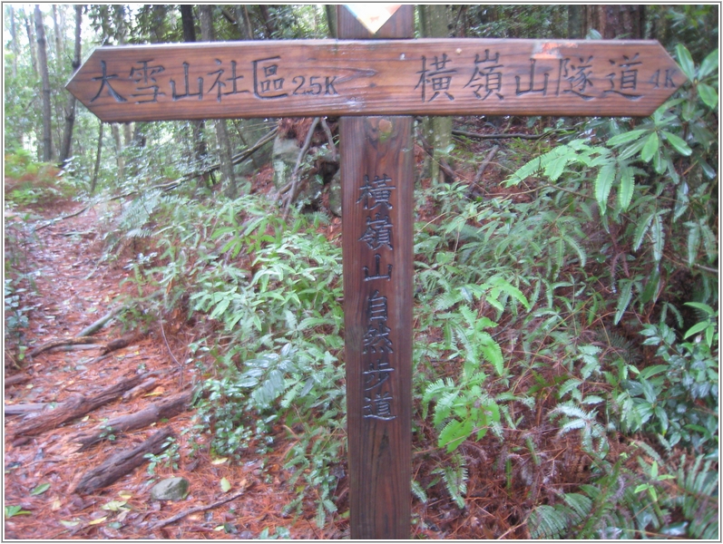 2012-12-01 15-02-02走在橫嶺山自然步道(木馬古道).JPG